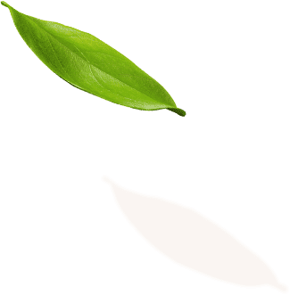 shape